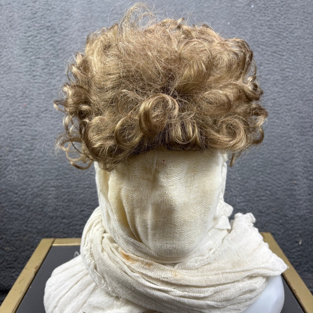 TWC Basics Encore Short Curly Synthetic Wig Brown Blonde Mix Average 21.5-22.5in